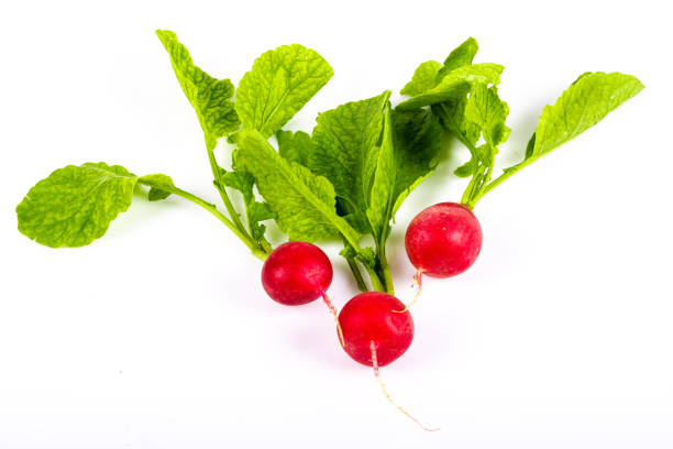istock Fresh red radish isolated on white background. 1288821349