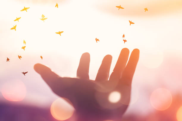 istock Man raise open hand up and birds flying on sunset sky abstract background. Copy space of freedom travel adventure and business victory concept. 1288823514