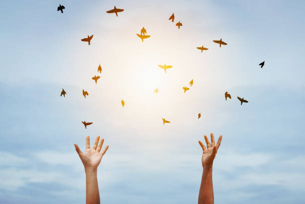 istock Man raise open hand up and birds flying on sunset sky abstract background. Copy space of freedom travel adventure and business victory concept. 1288823539