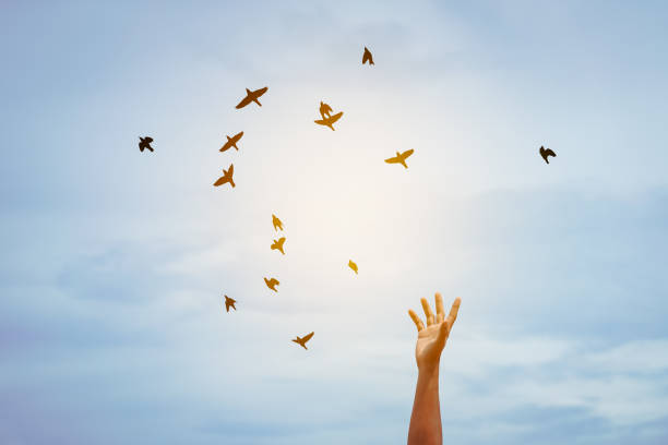 istock Man raise open hand up and birds flying on sunset sky abstract background. Copy space of freedom travel adventure and business victory concept. 1288823762