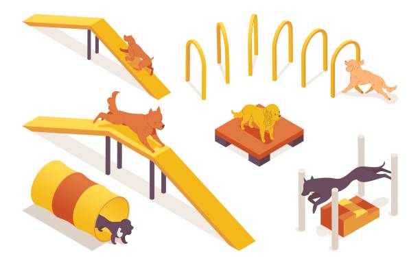 Isometric collection of dogs training on pet agility equipment elements. 3d characters running, jumping and climbing Isometric collection of dogs training on pet agility equipment elements. 3d characters running, jumping and climbing. agility animal canine sports race stock illustrations