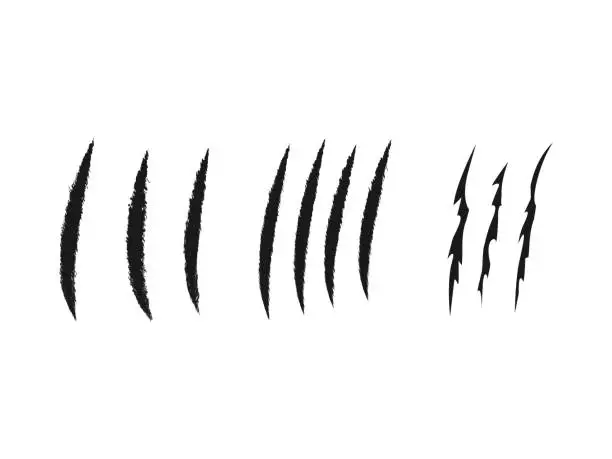 Vector illustration of Set of claw scratches