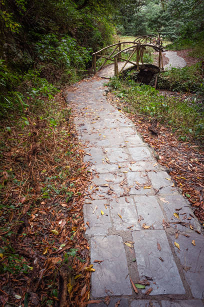 istock Criss - Cross path leading towards Jibhi Waterfall 1288826946