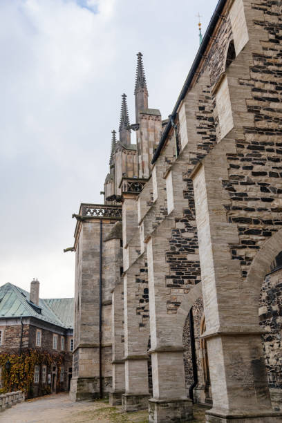 medieval stone st. bartholomew´s church in autumn day, arched windows, chimeras and gargoyles, gothic cathedral with belfry in kolin, central bohemia, czech republic, november 28, 2020 - medieval autumn cathedral vertical imagens e fotografias de stock