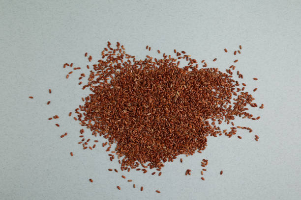 istock Brown rice is scattered on the table. GABA rice, top view, place for text 1288828476