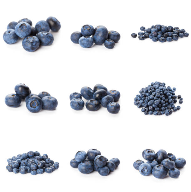 istock Blueberries set isolated on white background. Bilberry. Clipping path. 1288828617
