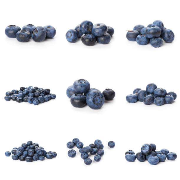 istock Blueberries set isolated on white background. Bilberry. Clipping path. 1288828656