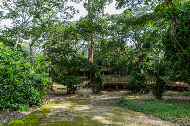 istock Osun - Osogbo sacred grove 1288831053
