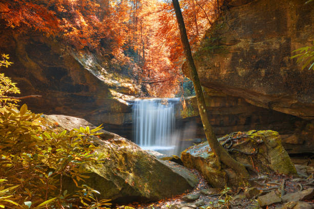 istock Dog Slaughter Falls in Daniel Boone National Forest 1288836087