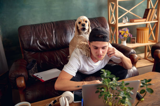 istock Young man sitting on sofa at home with his cute dog. Cozy office workplace, remote work, online, e-learning concept. 1288836420