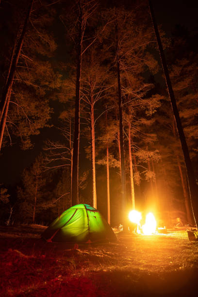 istock Tent at night the starry sky glows, Campfire 1288836931