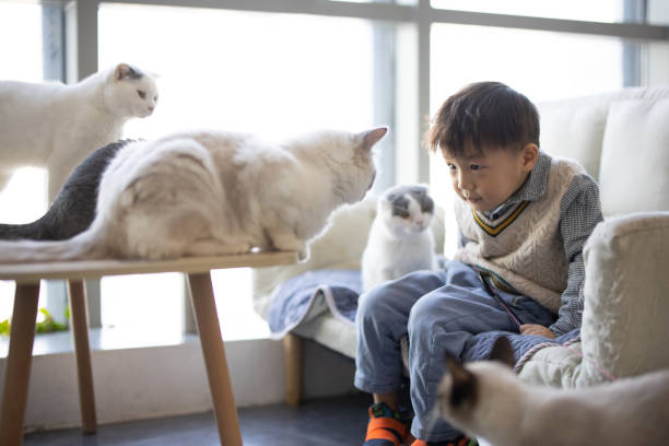 istock The little boy and his pet cat 1288837324