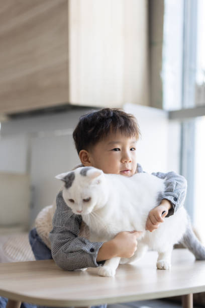 istock The little boy and his pet cat 1288837946