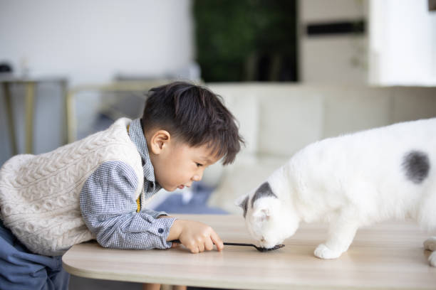 istock The little boy is feeding the cat 1288837948