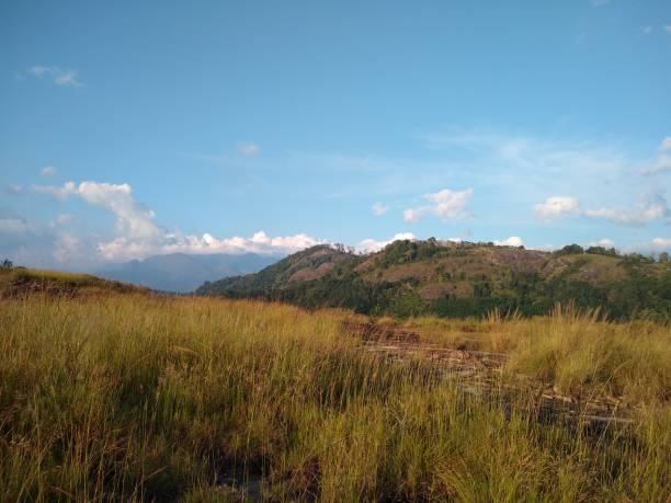istock Beautiful grassland and Blue sky landscape view 1288838564