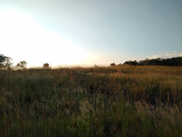 istock Beautiful grassland and Blue sky landscape view 1288839404