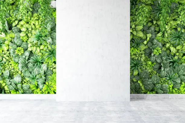 Photo of Vertical Garden with Empty Wall