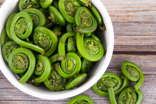 Ostrich Fern Fiddleheads bowl ready to cook with this seasonal ingredient Ostrich Fern Fiddleheads bowl ready to cook with this seasonal ingredient fiddle head stock pictures, royalty-free photos & images