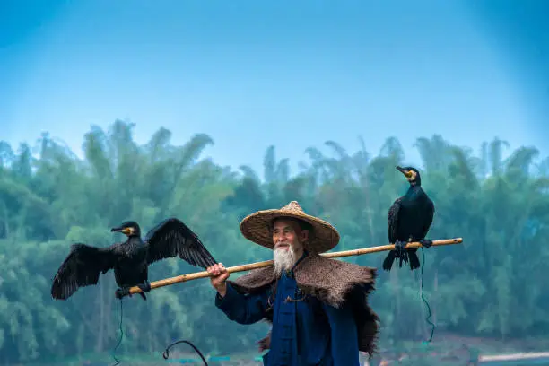 Photo of Portrait Chinese traditional fisherman with cormorants fishing, Li River China