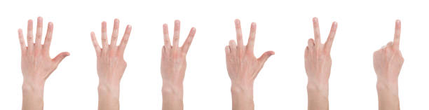 istock Man showing number five on white background, closeup. 1288843066