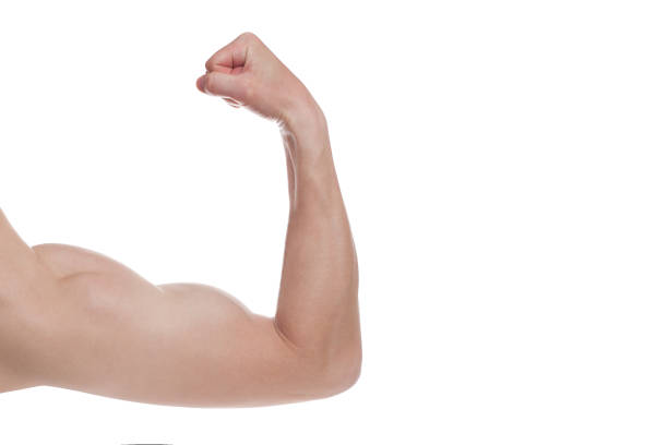 istock Strong Athletic Man Fitness Model, triceps over white background. Copy space 1288843086