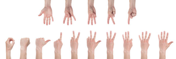 Male hands counting from zero to five isolated on white background. Set of multiple images. Collage Male hands counting from zero to five isolated on white background. Set of multiple images. Collage counting photos stock pictures, royalty-free photos & images