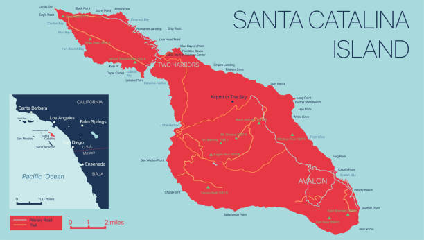 векторная подробная карта острова санта-каталина, калифорния, сша - catalina island stock illustrations
