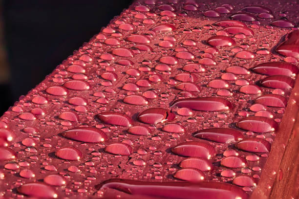 istock Raindrops on painted wood, Yorkshire, England, Britain 1288850084