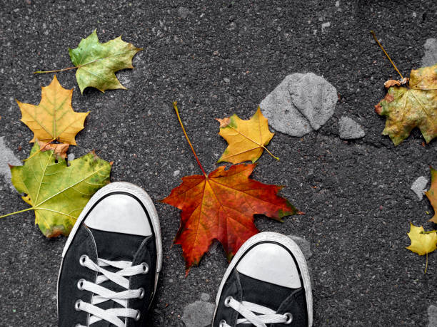 istock Autumn leaf on the asphalt. 1288851506