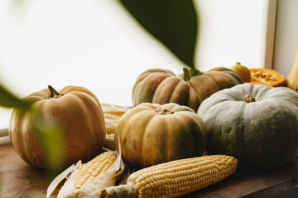 istock Corn cob and pumpkin on brown wooden board 1288851743