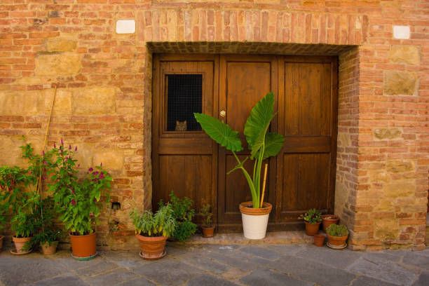 The door of a residential building in the historic medieval village of Buonconvento, Siena Province, Tuscany, Italy. A cat can be seen looking out of the window in the door