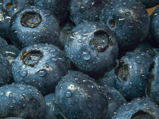 istock Blueberries with drops of water. 1288852895