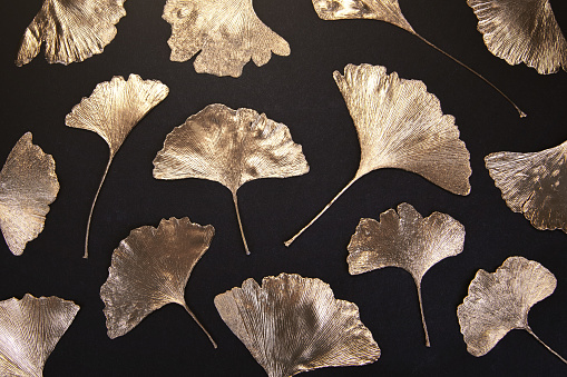 Photography of golden gingko leaf pattern with black background. Perfectly usable for all modern elegance and decoration projects.