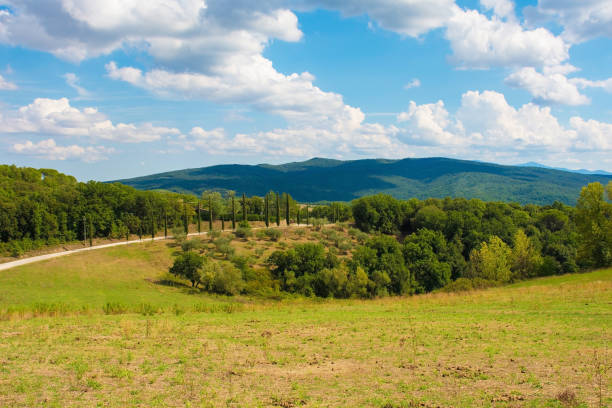 Photo of Landscape Near Murlo, Tuscany