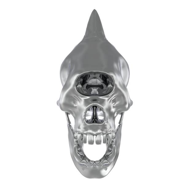白い背景3dイラストに隔離された金属モンスターの頭蓋骨 - animal teeth animal skull extinct animal bone ストックフォトと画像