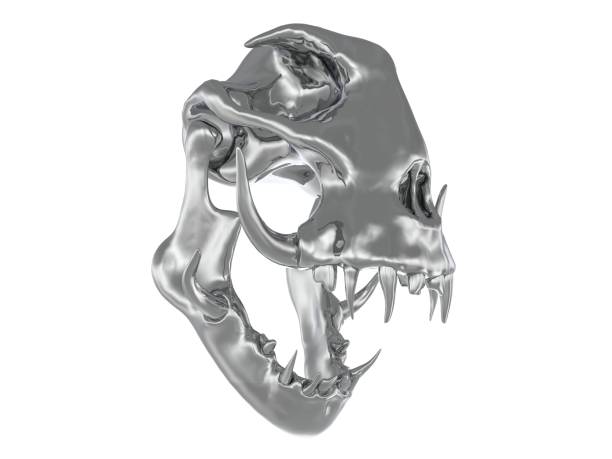 白い背景3dイラストに隔離された金属モンスターの頭蓋骨 - animal teeth animal skull extinct animal bone ストックフォトと画像