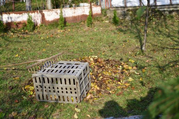 istock Wooden rake and plastic box for storing leaves in autumn 1288858048