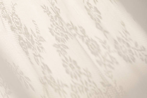 Sunlight on curtain, blurred palm leaf shadow on tulle background, sheer curtains, silk veil fabric with soft morning sunshine banner, light window fabric background with copy space for text