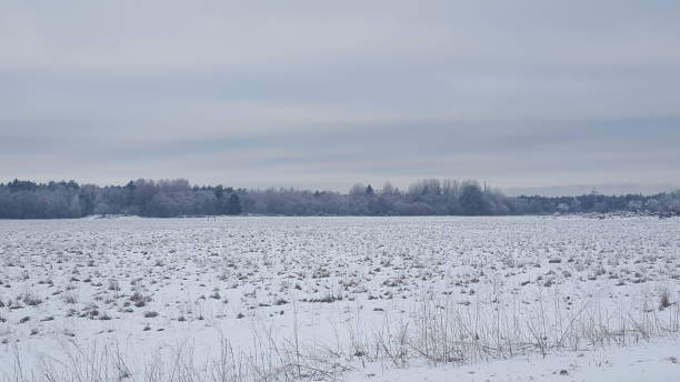 istock Snow-covered road, field and forest. Russian Winter. 1288866949