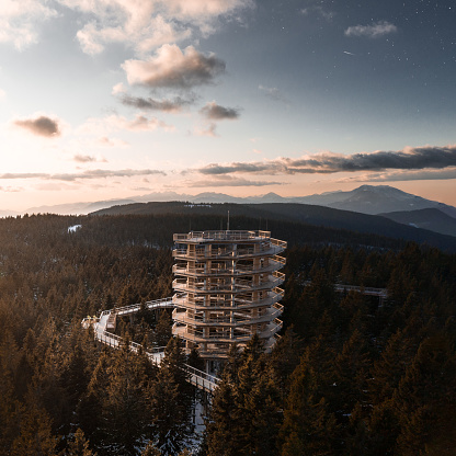 Aerial view of a forest canopy tower and walkway, also footpath above treetops on Rogla, Slovenia