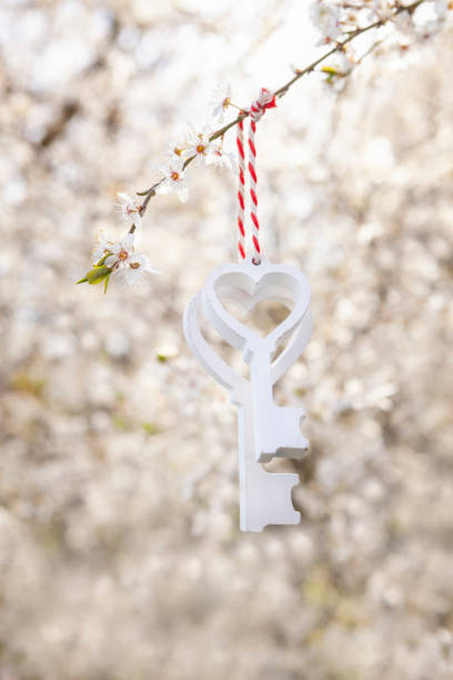 兩把白色的木鑰匙掛在盛開的櫻花樹枝上。愛，春天的象徵。情人節，婚禮，訂婚的概念。自然背景，戶外 - cherry valentine 個照片及圖片檔