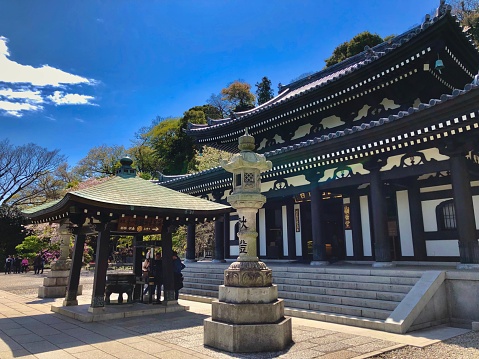 Japan, Kamakura - April, 2018: Traditional medieval buddhist temple building Hase-dera in the seaside Japanese historic town Kamakura on a sunny spring day.
