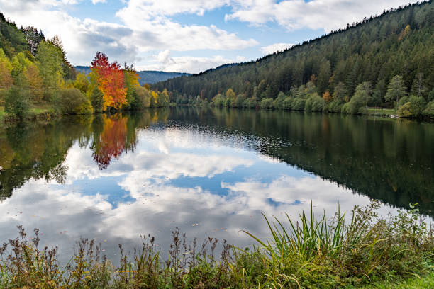 istock Nagold Dam at the Nagold Valley, Black Forest, Germany 1288882341