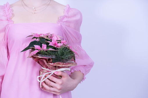 girl in a pink dress holding a bouquet of Christmas flowers on a white background