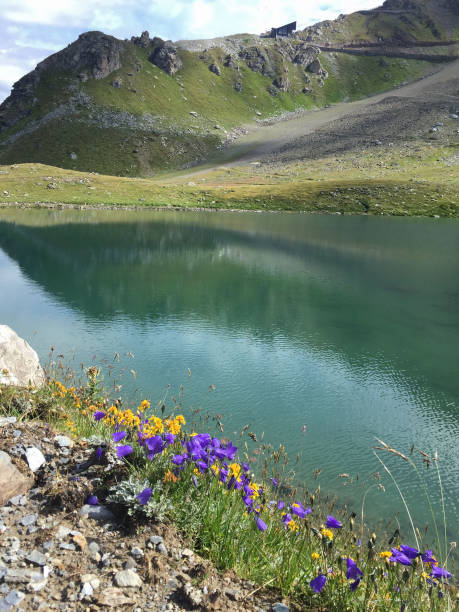 istock Tusquoise mountain lake in summer 1288889874