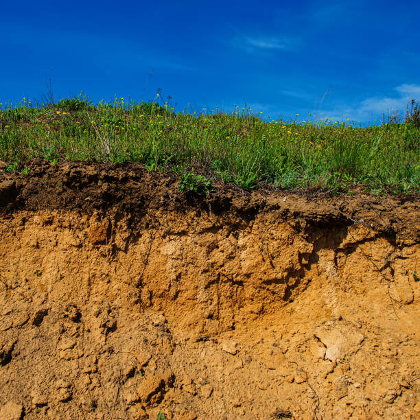 istock soil erosion in the steppe zone. 1288891261