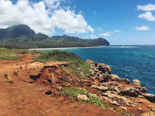 istock Hawaiian Beauty 1288893925