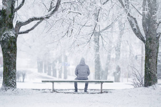 un giovane adulto seduto sulla panchina tra gli alberi al parco nel bianco inverno giorno dopo la bufera di neve. prima neve fresca. pensare alla vita. trascorrere del tempo da soli in natura. atmosfera tranquilla. vista posteriore. - serene people one man only men contemplation foto e immagini stock