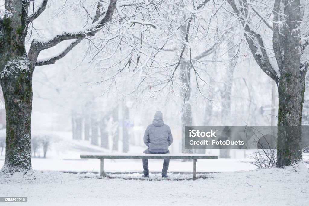 One young adult man sitting on bench between trees at park in white winter day after blizzard. Fresh first snow. Thinking about life. Spending time alone in nature. Peaceful atmosphere. Back view. Winter Stock Photo