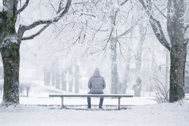 One young adult man sitting on bench between trees at park in white winter day after blizzard. Fresh first snow. Thinking about life. Spending time alone in nature. Peaceful atmosphere. Back view. stock photo